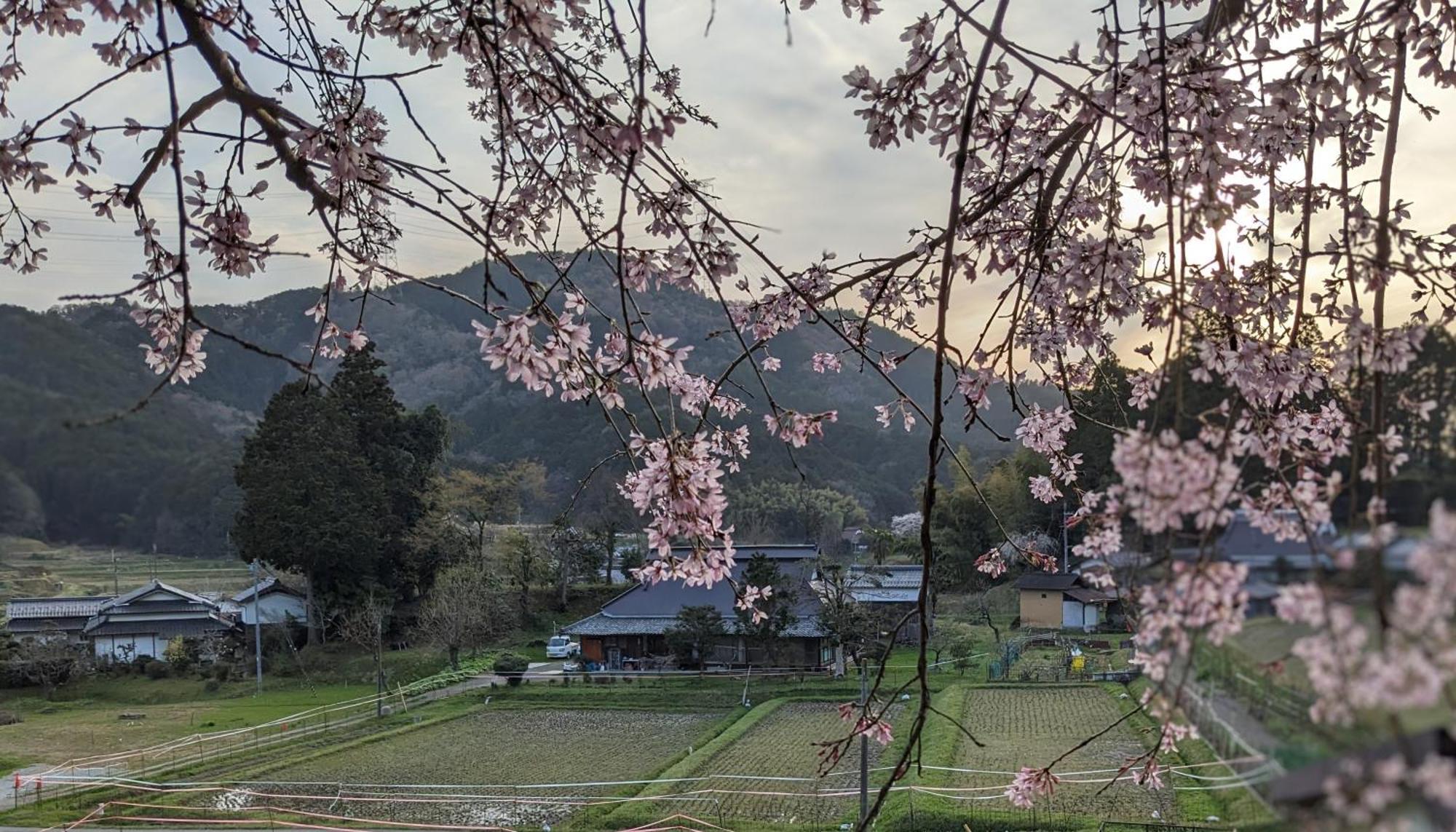 一汁一菜の宿　ちゃぶダイニング Ichiju Issai No Yado Chabu Dining Unforgettable Farmstay Experience In Deep Kyoto Ayabe Esterno foto