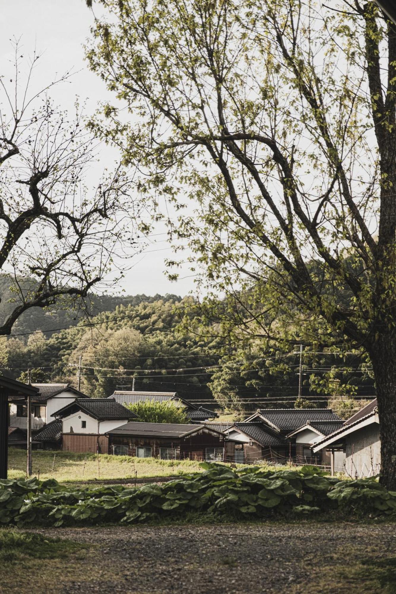 一汁一菜の宿　ちゃぶダイニング Ichiju Issai No Yado Chabu Dining Unforgettable Farmstay Experience In Deep Kyoto Ayabe Esterno foto